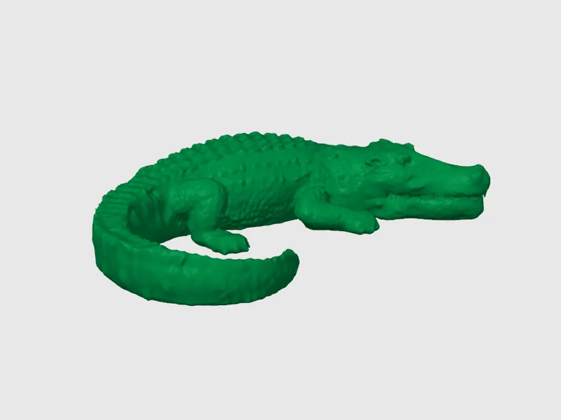 Krokodil Alligator