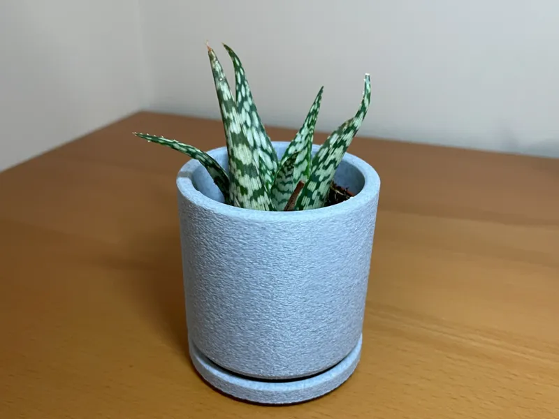 Modern Minimalist Planter Version 1