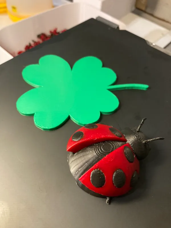 https://makerworld.bblmw.com/makerworld/model/USb79ca07fb6019f/design/2024-03-11_d500b778e9f44.jpeg
