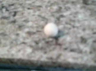 ball