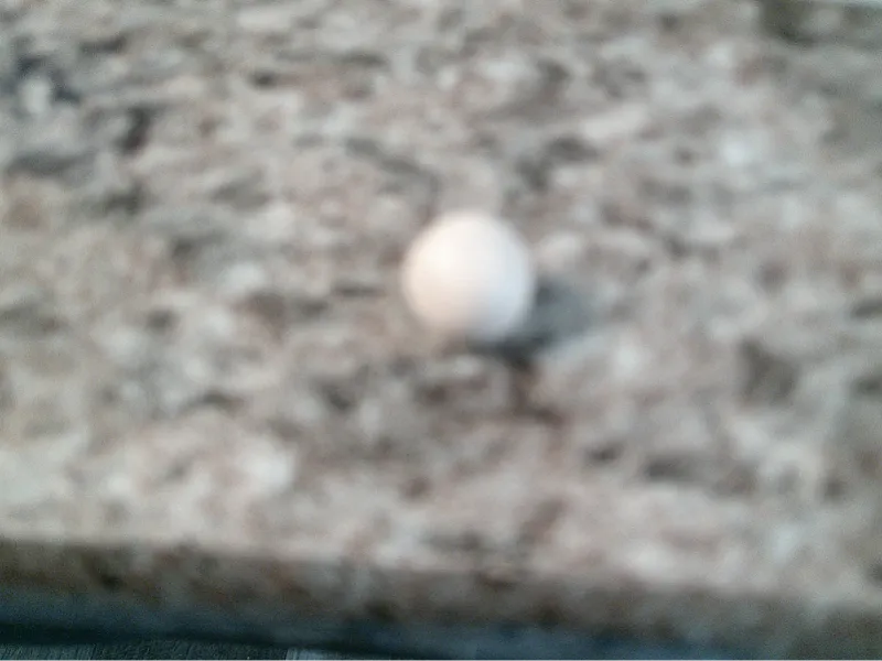 ball