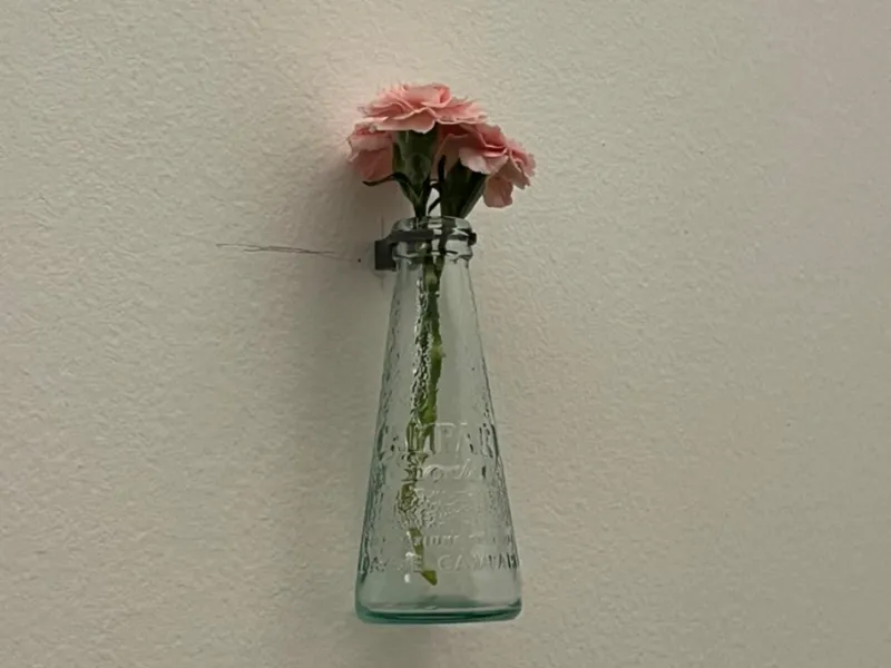 Wall art minimal Campari