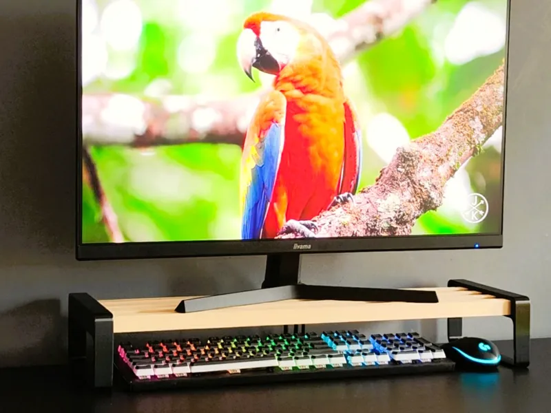 Monitor Stand / Riser Keyboard and Mouse Storage