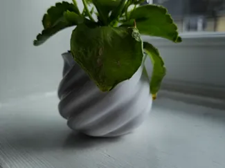 whirlpool plant pot