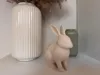 0.2mm layer, 3 walls, 5% infill