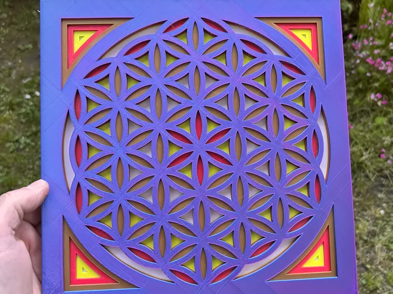 Fiore della vita