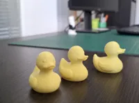 Single color 0.16mm layer, 2 walls, 12% infill