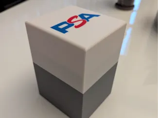 Porta Carte Gradate PSA