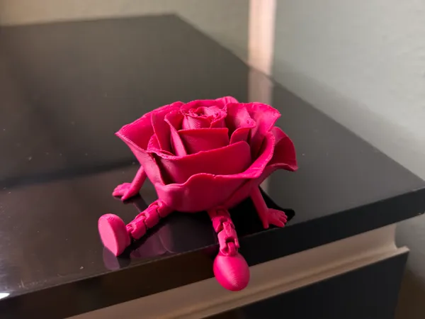 https://makerworld.bblmw.com/makerworld/model/USb7abe08358945a/design/196f2d404dd18ee8.jpeg
