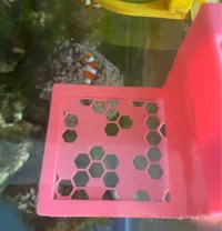 0.2mm 层高, 5 层墙, 15% 填充