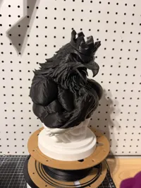4 Color - 320MM