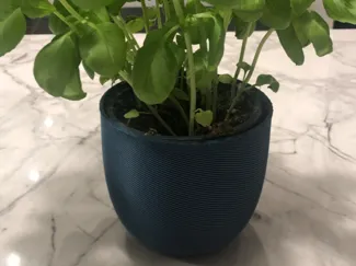 vase