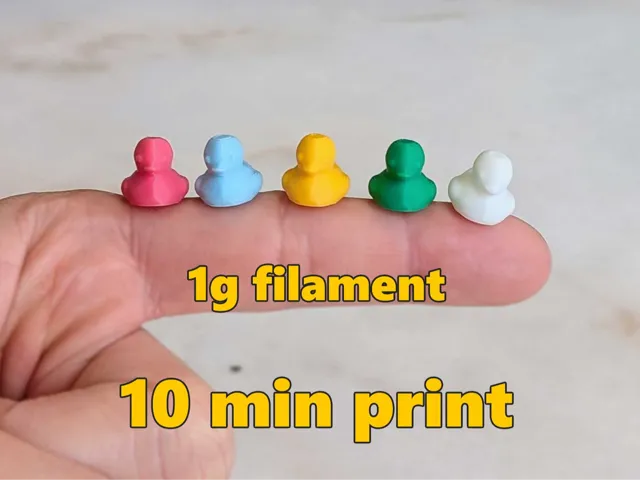 Small Tiny Mini Micro Duck