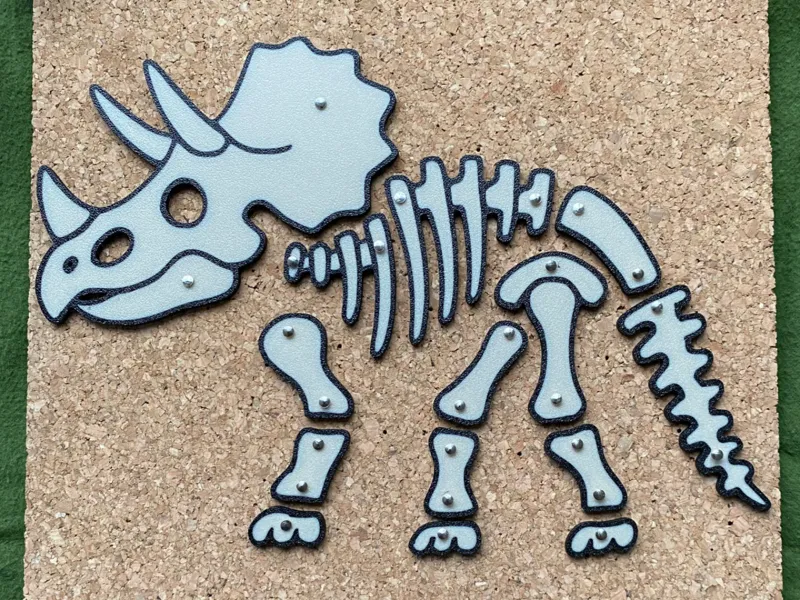 Triceratops dinosaur