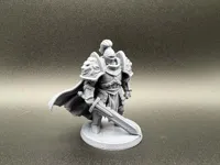 (Display Sized) 0.12mm layer, 3 walls, 20% infill