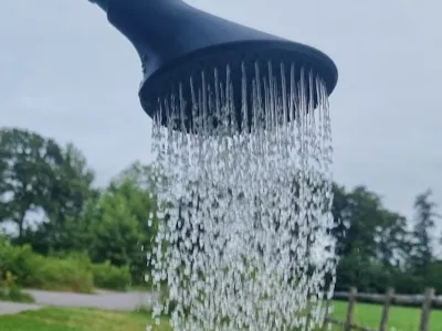 watering can rose