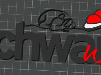 Schwarz-Wald Schriftzug