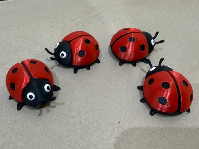Ladybugs ladybug cocinella