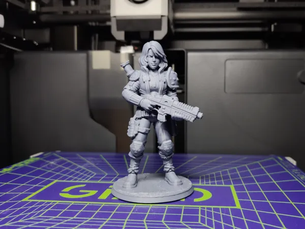 https://makerworld.bblmw.com/makerworld/model/USb7c40b9bf87ece/design/c7cc769212bbdae5.jpg