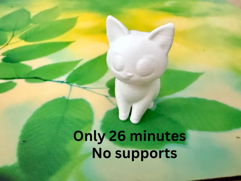 Cute easy cat - kitten