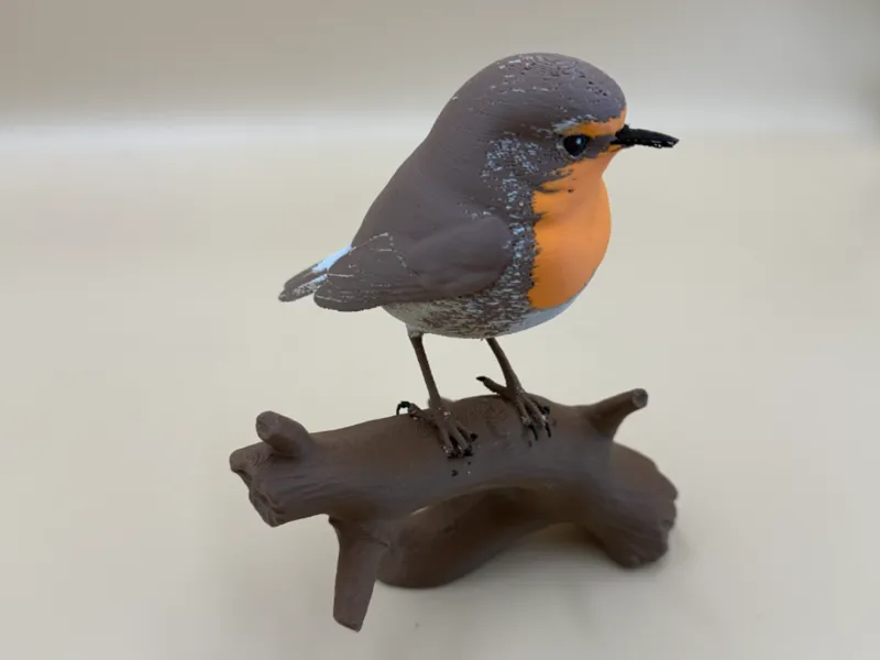 European Robin