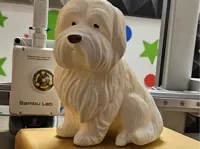 Sculpture de chien bichon havanais — photo 2