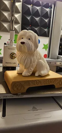 Sculpture de chien bichon havanais — photo 4
