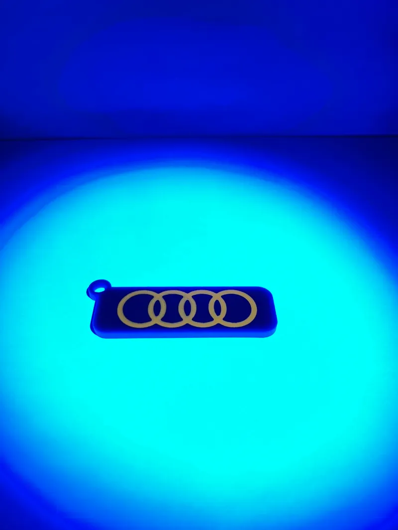 Audi Keychain