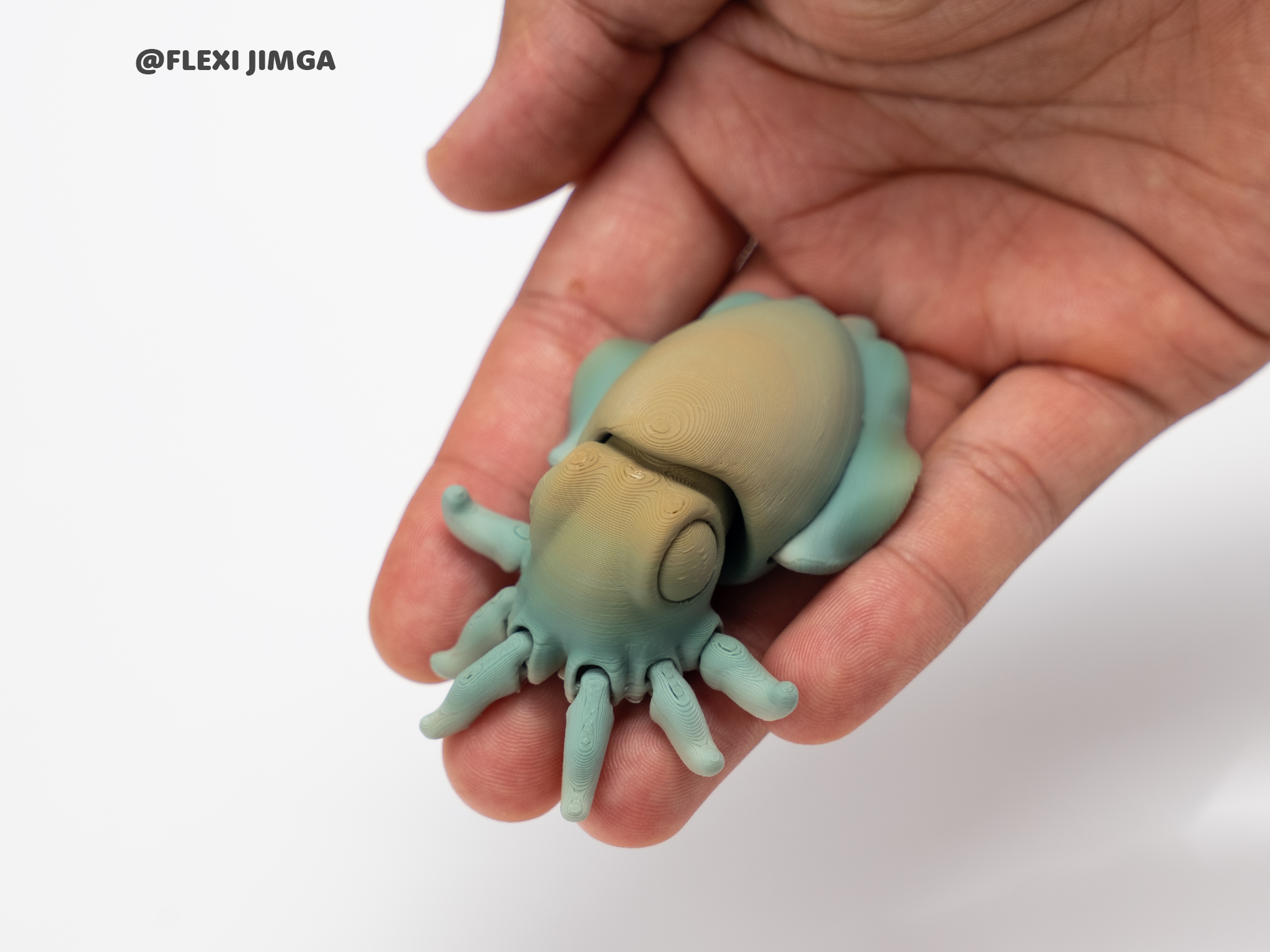 Flexi Cuttlefish - Articulated & Keychain - 1