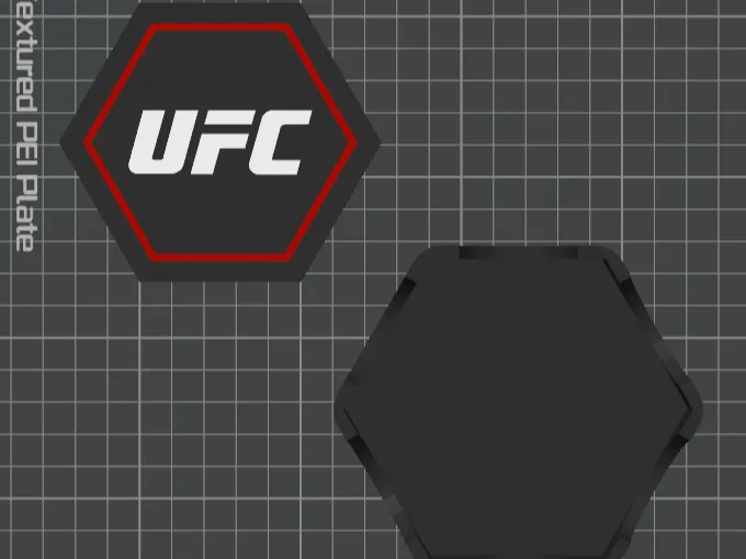 UFC Coaster