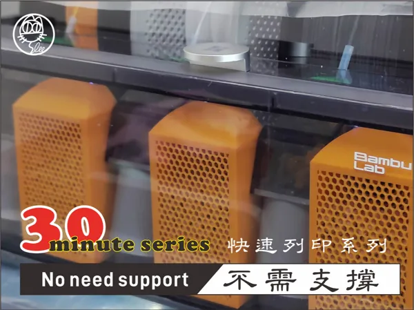 https://makerworld.bblmw.com/makerworld/model/USb7d7990040c173/design/2024-07-12_e2a9c536c111d.png