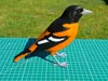 3mf Baltimore Oriole - A1 mini