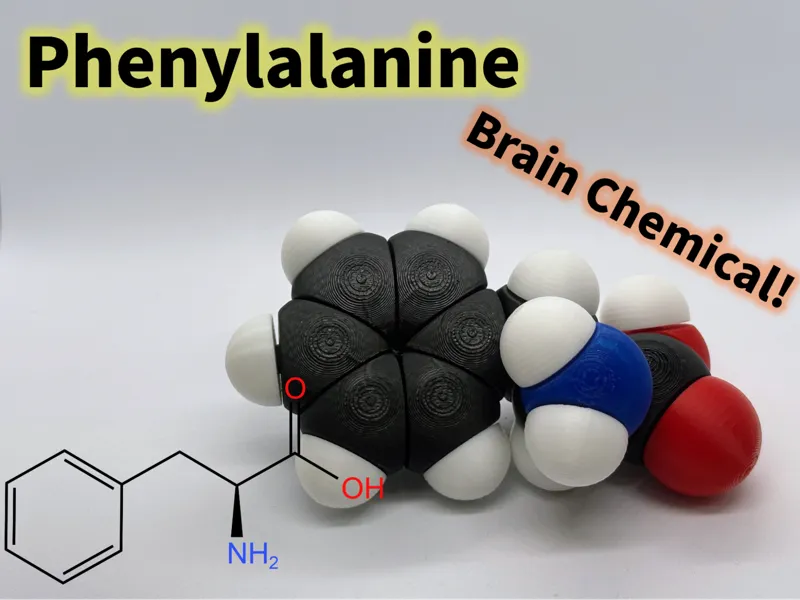 Phenylalanine molfidget with rotatable bonds