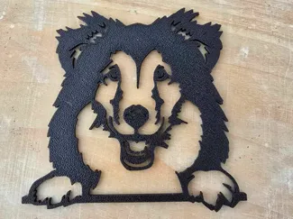 Sheltie 2D