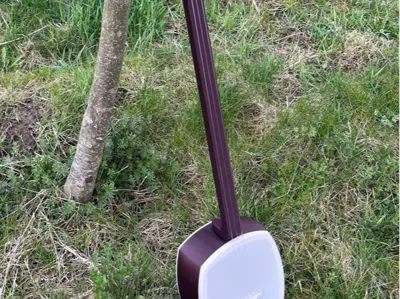 Shamisen
