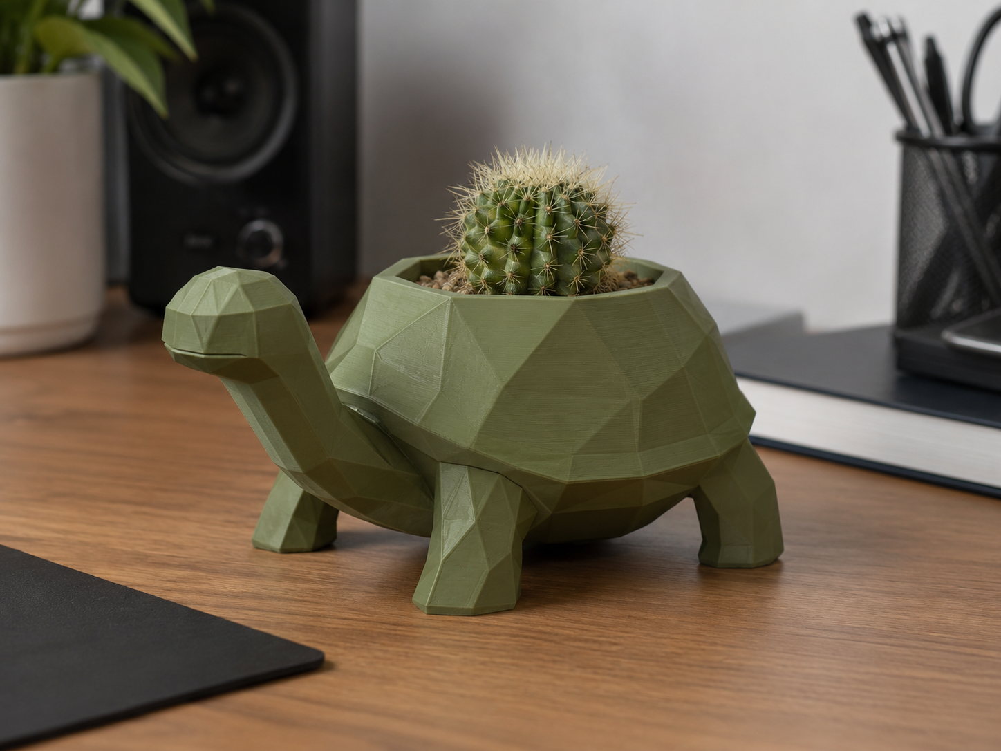 maceta tortuga