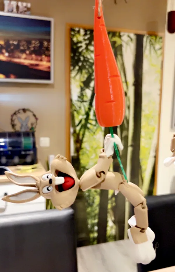 https://makerworld.bblmw.com/makerworld/model/USb7ec121d326a02/design/2024-02-20_32cbf1ad414fc.jpg