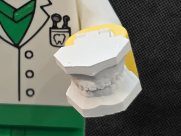 https://makerworld.bblmw.com/makerworld/model/USb7f2711137a194/design/2025-03-10_d31caf8885c76.png