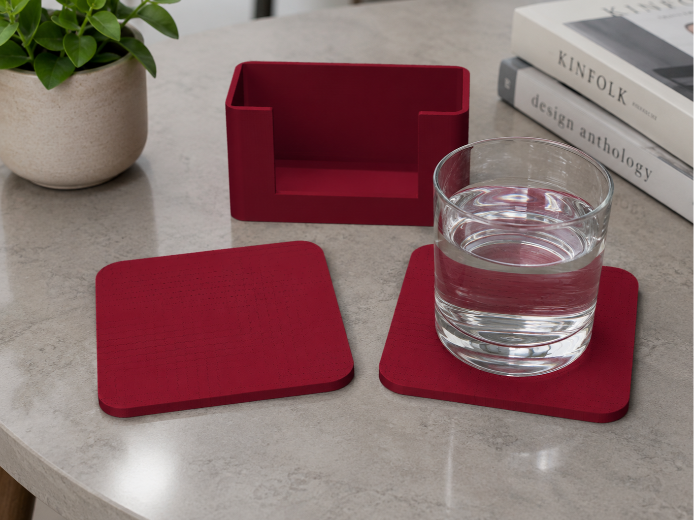 Para Diva Coaster