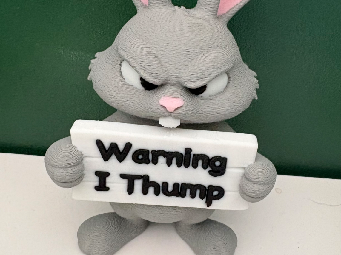 Cute but Grumpy Rabbit 