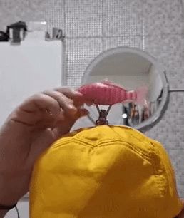 Carp Hat Propeller
