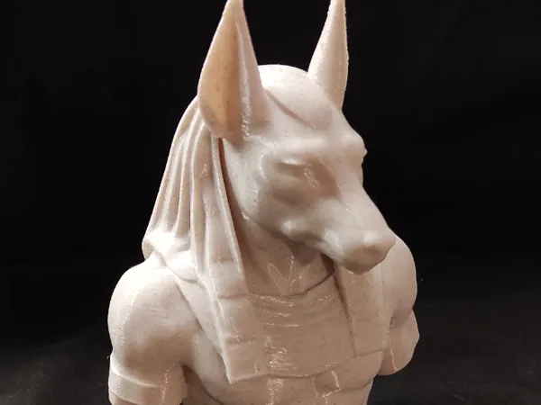https://makerworld.bblmw.com/makerworld/model/USb80294e1e95410/design/2025-05-09_683397b04e4238.jpg