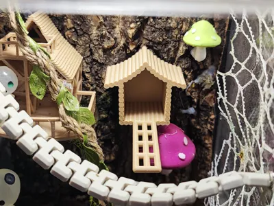Tiny Jumping Spider House