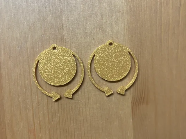 Earrings