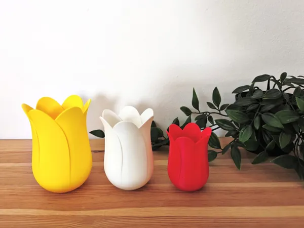 https://makerworld.bblmw.com/makerworld/model/USb8110d47231355/design/2025-02-01_6d9a091310b18.jpg