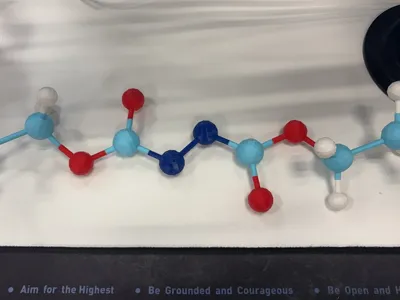 【Customizable】Common Molecular Models