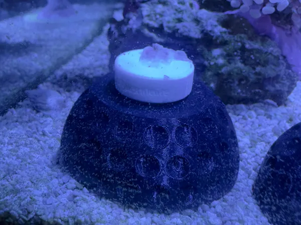 https://makerworld.bblmw.com/makerworld/model/USb816615013af9e/design/2024-06-12_4048cf00ae3da.jpeg