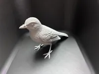 0.2mm layer, 2 walls, 8% infill
