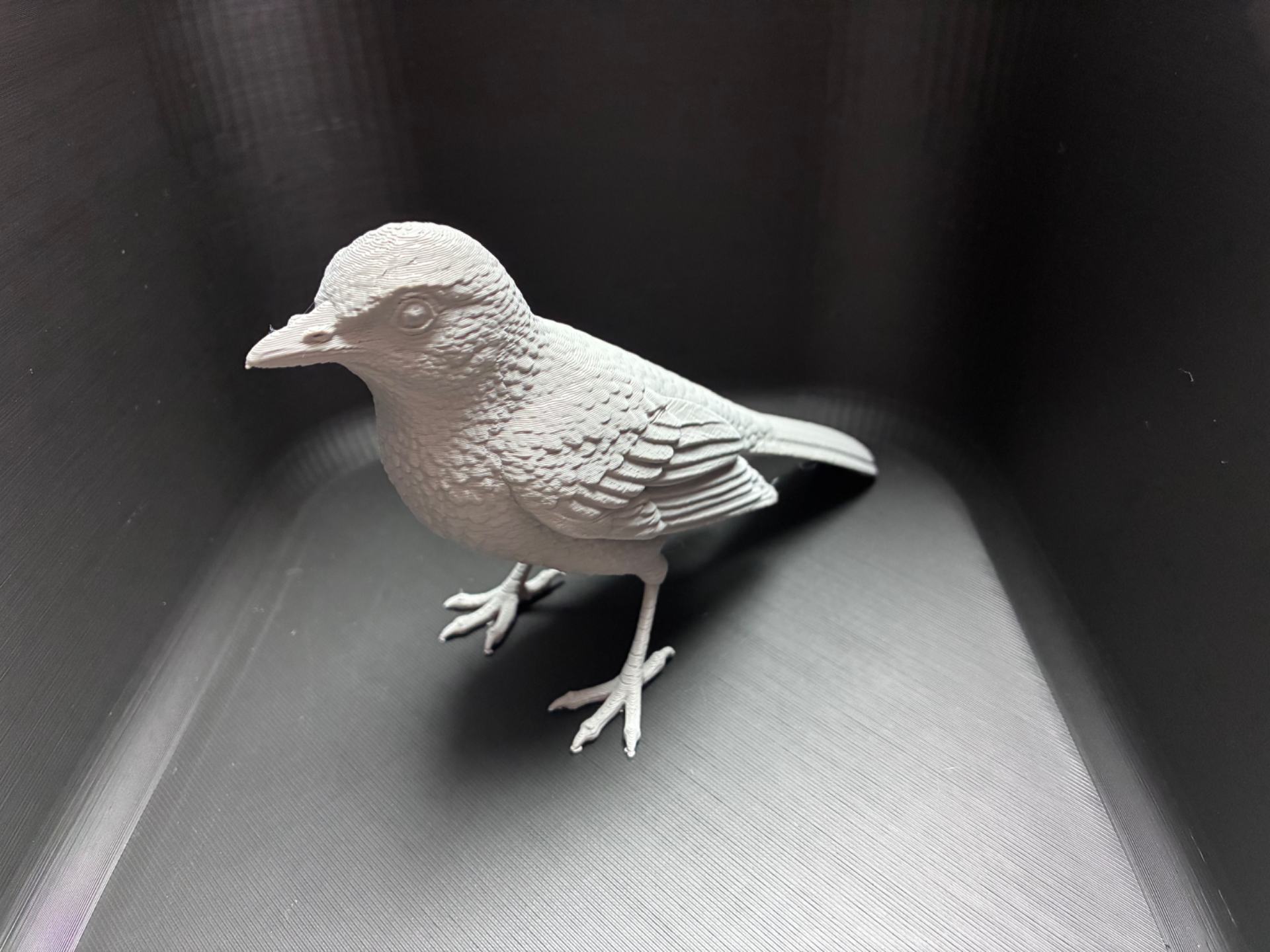 Realistischer Singvogel