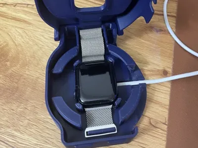 Apple Watch Travel and Charging Case